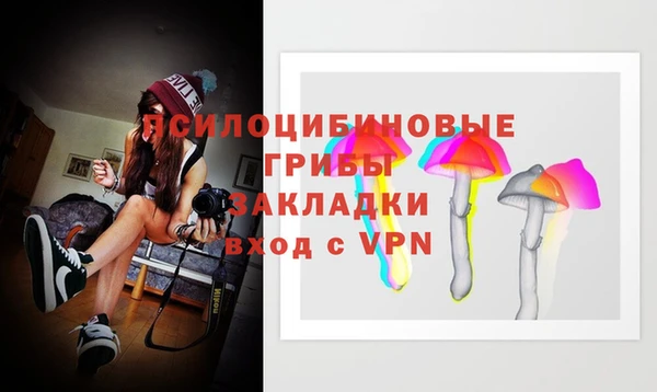 крисы Бронницы