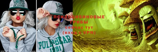 крисы Бронницы