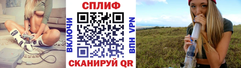 Купить закладки  Могоча  Бошки марихуана THC 21% 